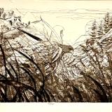 2002 John Simon