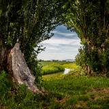 2023 Invitational Artists