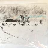 Christine Wardenburg-Skinner
