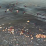 Toni Ann Rust
