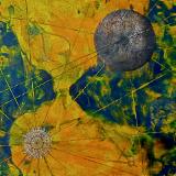 Kate Dougherty
