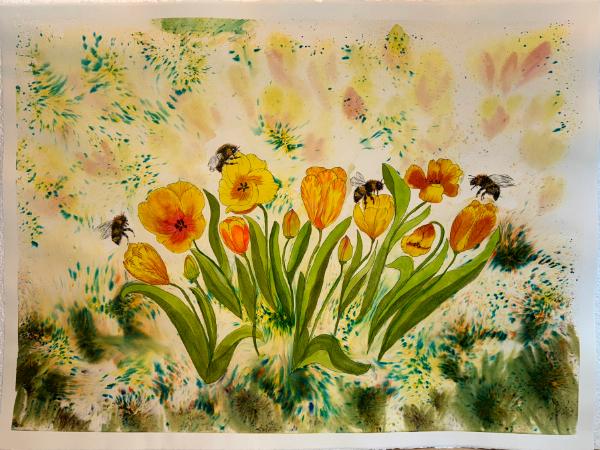 Carol Farnsworth