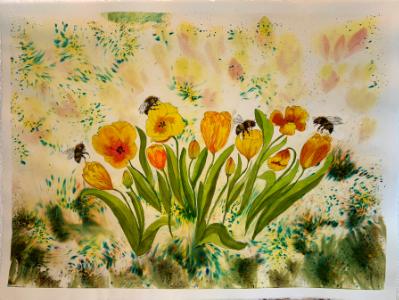 Carol Farnsworth