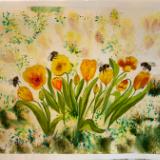 Carol Farnsworth