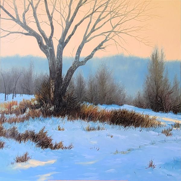 Andy Eccleshall