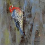Randena Walsh