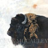 Eve McCauley Chomiak