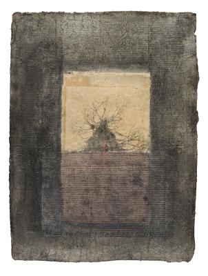 Susan Singleton