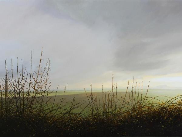 Andy Eccleshall