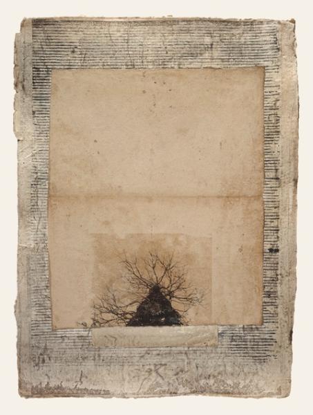 Susan Singleton