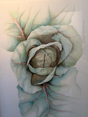 Janis Hatch