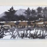 Christine Wardenburg-Skinner