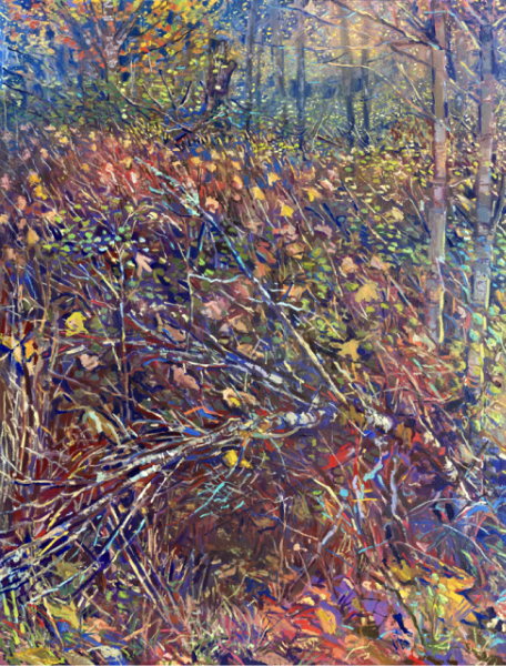 Benjamin Vanderwerff