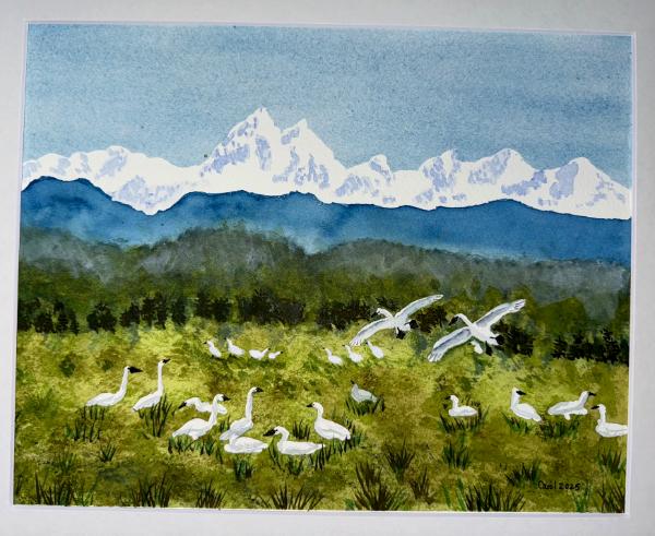 Carol Farnsworth